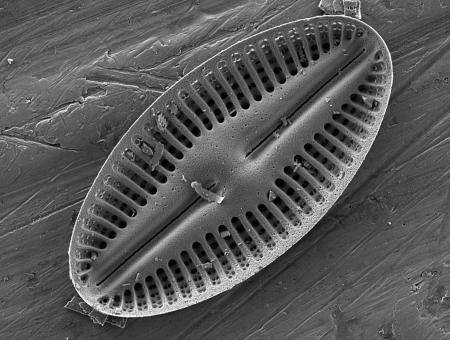 Výprava do nano-světa