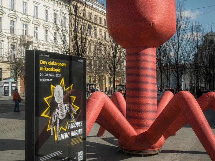 “Hodný” vir bakteriofág